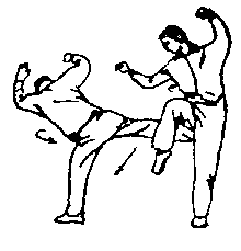 Синьдэ - 64 Метода Атаки Ногами