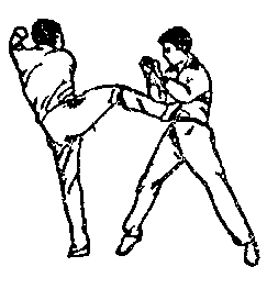 Синьдэ - 64 Метода Атаки Ногами