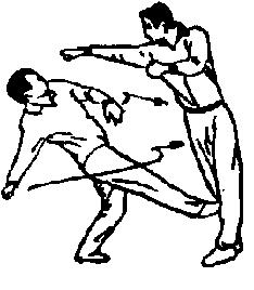 Синьдэ - 64 Метода Атаки Ногами