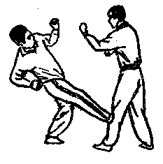 Синьдэ - 64 Метода Атаки Ногами