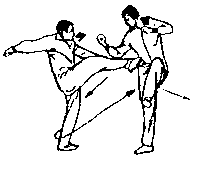 Синьдэ - 64 Метода Атаки Ногами