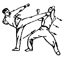 Синьдэ - 64 Метода Атаки Ногами