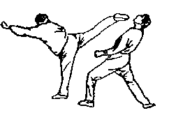 Синьдэ - 64 Метода Атаки Ногами