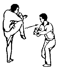 Синьдэ - 64 Метода Атаки Ногами