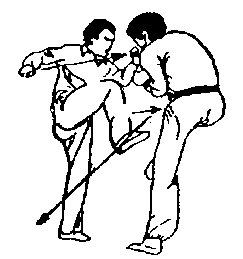 Синьдэ - 64 Метода Атаки Ногами