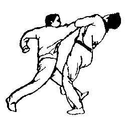 Синьдэ - 64 Метода Атаки Ногами