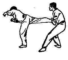 Синьдэ - 64 Метода Атаки Ногами