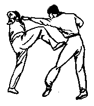 Синьдэ - 64 Метода Атаки Ногами