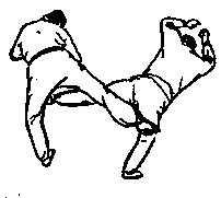 Синьдэ - 64 Метода Атаки Ногами