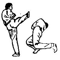 Синьдэ - 64 Метода Атаки Ногами