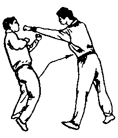 Синьдэ - 64 Метода Атаки Ногами