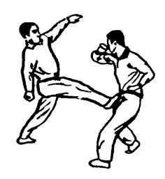 Синьдэ - 64 Метода Атаки Ногами