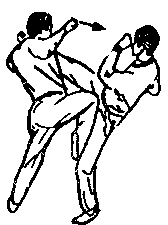 Синьдэ - 64 Метода Атаки Ногами