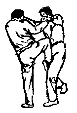 Синьдэ - 64 Метода Атаки Ногами