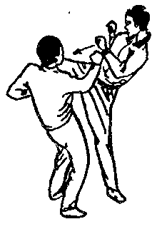 Синьдэ - 64 Метода Атаки Ногами