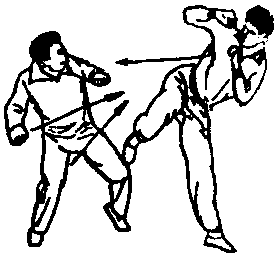 Синьдэ - 64 Метода Атаки Ногами