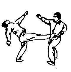 Синьдэ - 64 Метода Атаки Ногами