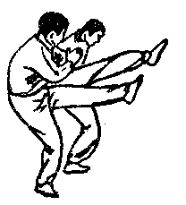 Синьдэ - 64 Метода Атаки Ногами