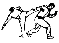 Синьдэ - 64 Метода Атаки Ногами