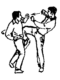 Синьдэ - 64 Метода Атаки Ногами