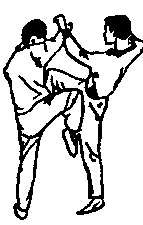 Синьдэ - 64 Метода Атаки Ногами