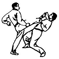 Синьдэ - 64 Метода Атаки Ногами