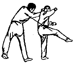 Синьдэ - 64 Метода Атаки Ногами