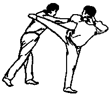 Синьдэ - 64 Метода Атаки Ногами