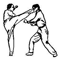 Синьдэ - 64 Метода Атаки Ногами