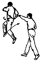 Синьдэ - 64 Метода Атаки Ногами