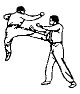 Синьдэ - 64 Метода Атаки Ногами