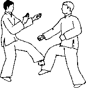 Чан Юлун - Секреты Вин Чунь