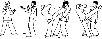 Чан Юлун - Секреты Вин Чунь