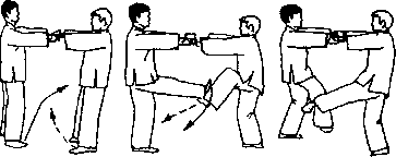 Чан Юлун - Секреты Вин Чунь