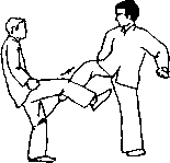 Чан Юлун - Секреты Вин Чунь