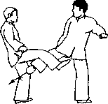 Чан Юлун - Секреты Вин Чунь