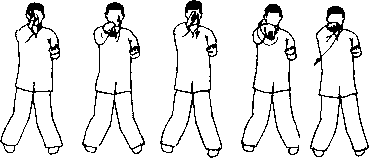 Чан Юлун - Секреты Вин Чунь