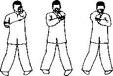 Чан Юлун - Секреты Вин Чунь