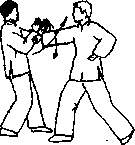 Чан Юлун - Секреты Вин Чунь