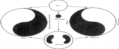 Гриценко - Тайны Гун-Фу