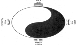 Гриценко - Тайны Гун-Фу