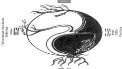 Гриценко - Тайны Гун-Фу