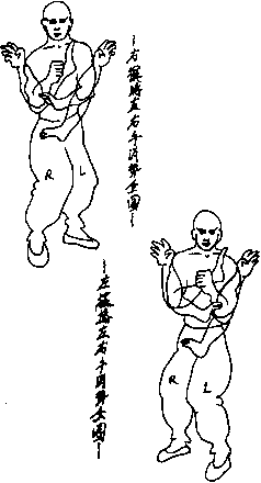 �����������