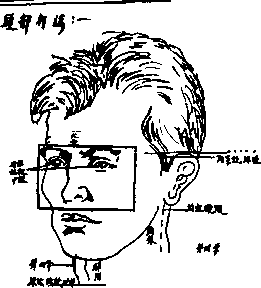 ������ ������ �������