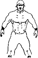 ������ ������ �������