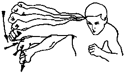 ����������