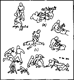 ����������