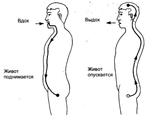 Кью-Кит - Искусство Цигун