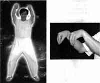 ������ - �������� ����� - ������ ����, ������� ����������� � ������ ����