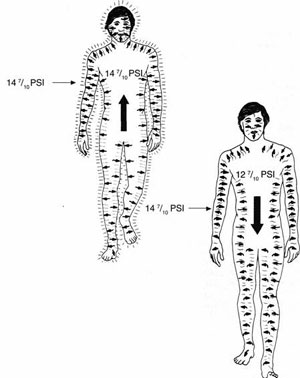Мантэк - Даньтянь Цигун - Пустая Сила, Энергия Промежности И Второй Мозг